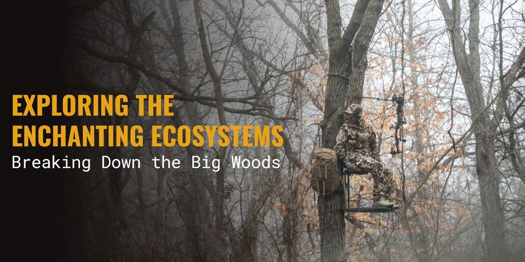 Exploring the Enchanting Ecosystems: Breaking Down the Big Woods